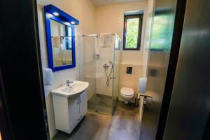 a bathroom with a shower and a sink and a toilet at Bagrina Suites in Belgrade