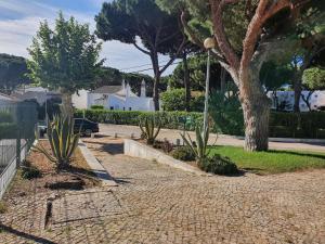 a sidewalk with cactuses and a tree on a street at Aldeia Studio Albufeira in Albufeira