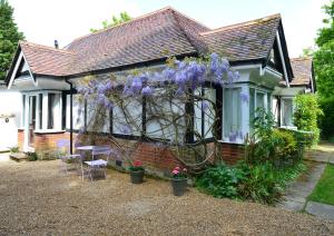 Una casa con flores púrpuras a un lado. en Pinewood Cottage Deluxe Self Catering Apartments, en Lyndhurst