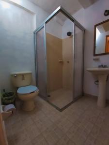 a bathroom with a shower and a toilet and a sink at María Arte Hotel in San Cristóbal de Las Casas