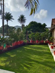 un patio con césped verde y palmeras en Rose Cottage - A Heritage Retreat en Mount Ābu