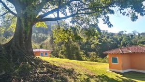 un grand arbre assis au sommet d'une colline verdoyante dans l'établissement Fortuna Casas de Campo, à Socorro
