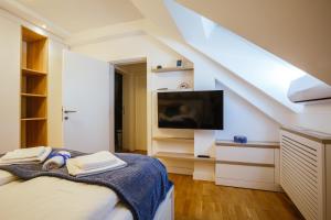 a room with a bed and a tv in a attic at Green Duplex in Novi Sad