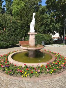 Zahrada ubytování Käpt`n Jensens Kajüte