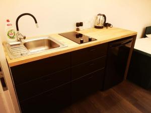 - un comptoir de cuisine avec évier dans l'établissement Apartamenty LENA 1, à Racibórz