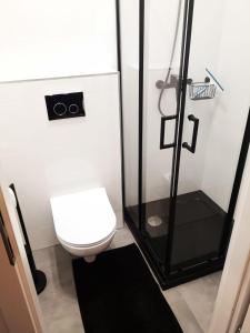 La salle de bains est pourvue d'une douche et de toilettes. dans l'établissement Apartamenty LENA 1, à Racibórz