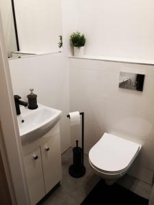 La salle de bains blanche est pourvue de toilettes et d'un lavabo. dans l'établissement Apartamenty LENA 1, à Racibórz