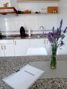 a kitchen counter with a vase of purple flowers at Apartamento Casa Tambo, Campelo in Pontevedra