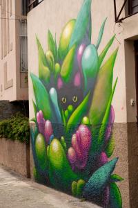 Afbeelding uit fotogalerij van Stray Cat Hostel in San José