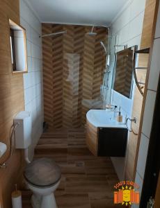 a bathroom with a shower and a toilet and a sink at POARTA SOARELUI in Teliucu Inferior