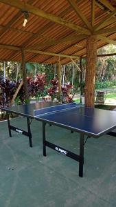 Kemudahan pingpong di Casas Di Monte Ecopousada atau berdekatan