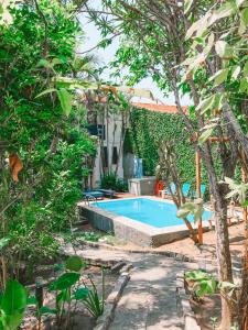 einen Pool in einem Garten mit Bäumen in der Unterkunft Pousada Bicho do Mar in Arraial do Cabo
