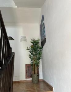 Μια τηλεόραση ή/και κέντρο ψυχαγωγίας στο Apartamento las quemadas