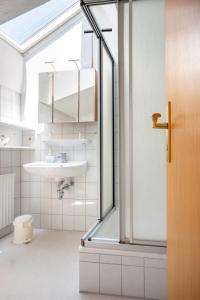 a bathroom with a shower and a sink at Knusthof - Wohnung 1 in Albertsdorf