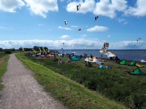 a group of people on the beach flying kites at Knusthof - Wohnung 1 in Albertsdorf