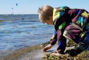 a young boy playing in the water at the beach at Knusthof - Wohnung 1 in Albertsdorf