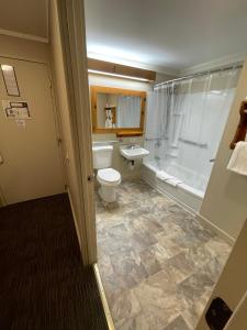 a bathroom with a toilet and a shower and a sink at Northern Lights Lodge in Stowe