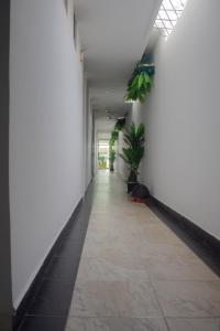 a hallway in a building with white walls and plants at Hotel Gixael in Santa Marta