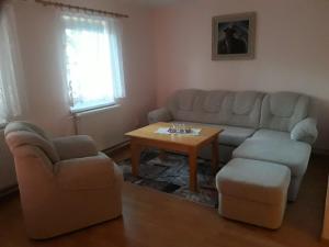 sala de estar con sofá, mesa y sillas en Penzion Tatrakon, en Ždiar