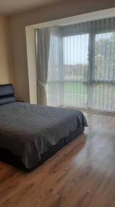 um quarto com uma cama e uma grande janela em Jaukūs apartamentai em Šiauliai