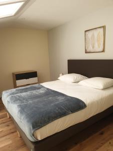 een slaapkamer met een groot bed met een blauwe deken erop bij Clos du Béron- Appartement meublé de tourisme in Cappelle-en-Pévèle