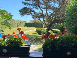 Сад в Pelosa - Capo Falcone Excellent Apartment