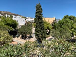 a tree in the middle of a forest of trees at Hotel Anezina in Drios