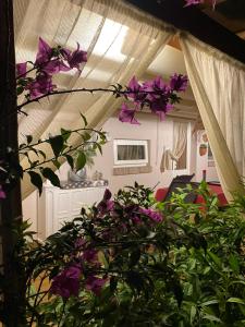 a kitchen with purple flowers in a room at Ancora Apartments in Marina di Massa