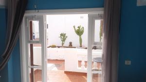 una porta aperta per una cucina con cactus nella finestra di Ocean Dreams Suite heated pool a Los Cristianos