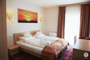 Una habitación de hotel con una cama y una ventana. en Hotel Leon & Spa, en Arad