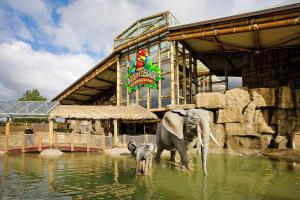 two elephants in the water in front of a building at Studios im Freizeitpark Weissenhäuser Strand in Weissenhäuser Strand