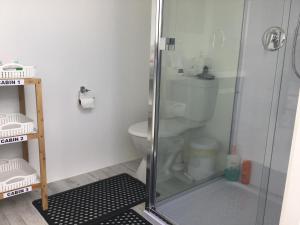 a shower stall in a bathroom with a toilet at Palm Drive 'Cozy Cabins' in Kerikeri