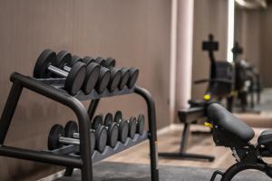 Fitness centrum a/nebo fitness zařízení v ubytování Hotel LIVVO Lumm
