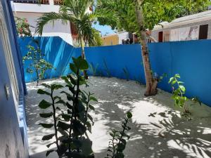 a garden with palm trees and a blue fence at Royal Beach Dhigurah in Dhigurah