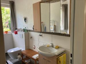een badkamer met een wastafel, een toilet en een spiegel bij Gästewohnung Mosbach in Mosbach