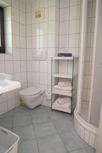 a bathroom with a toilet and a sink and a shower at Villa Mayr in Villach