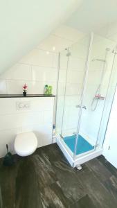 een badkamer met een glazen douche en een toilet bij FRANKES CITY SLEEP Maisonette Apartment, 6 Einzelbetten in Velbert