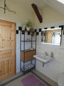 a bathroom with a sink and a mirror at Ferienwohnung Högel Großjena in Naumburg