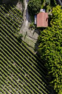 an overhead view of a vineyard with a house and trees at Quinta do Ameal - Wine & Tourism Terroir in Refoios do Lima
