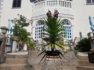 Fotografie z fotogalerie ubytování Villa Tiha v destinaci Cavtat