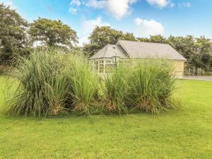 a house with tall grass in front of a yard at Moybella Lodge in Ballybunion
