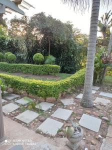 a garden with a palm tree and a stone walkway at Atholl Heights Homee in Westville