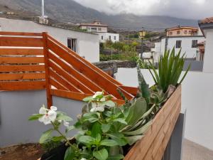 un balcón con una valla de madera y algunas plantas en Bimbache Home, en La Frontera