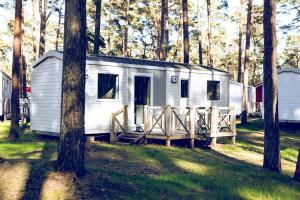 奥斯特巴德·哥伦Regenbogen Göhren的森林中间的白色小房子