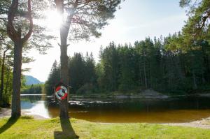 a clock on a tree next to a body of water at Hegna Camping in Seljord