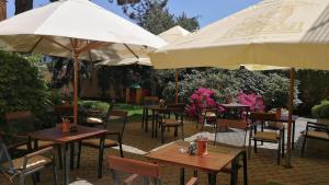 En hage utenfor Hotel Tulipan Pruhonice
