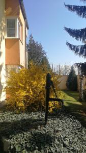 En hage utenfor Hotel Tulipan Pruhonice