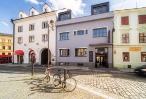 Jízda na kole v ubytování Aviatik apartments nebo okolí