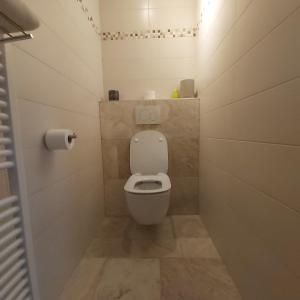 un piccolo bagno con servizi igienici e carta igienica di Holiday Apartment Al 't Sanna a Geraardsbergen