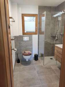 a bathroom with a toilet and a glass shower at Chalet Pinocchio in Mühlebach